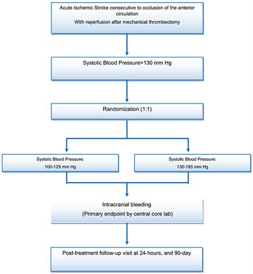 Blood Pressure Target in Acute Stroke to Reduce HemorrhaGe After Endovascular Therapy: The Randomized BP TARGET Study Protocol